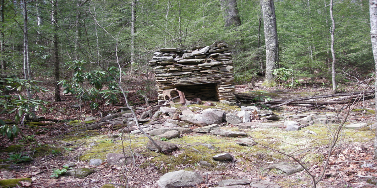 The John Barnes Home Site in the Greenbrier Section of the GSMNP